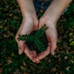 Embracing Sustainability: Eco-Friendly Practices for Small Businesses